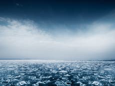 Klimaat krisis: Arctic sea ice freezing at latest date on record