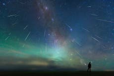 ペルセウス座流星群: 今夜の天体の光景を探す場所