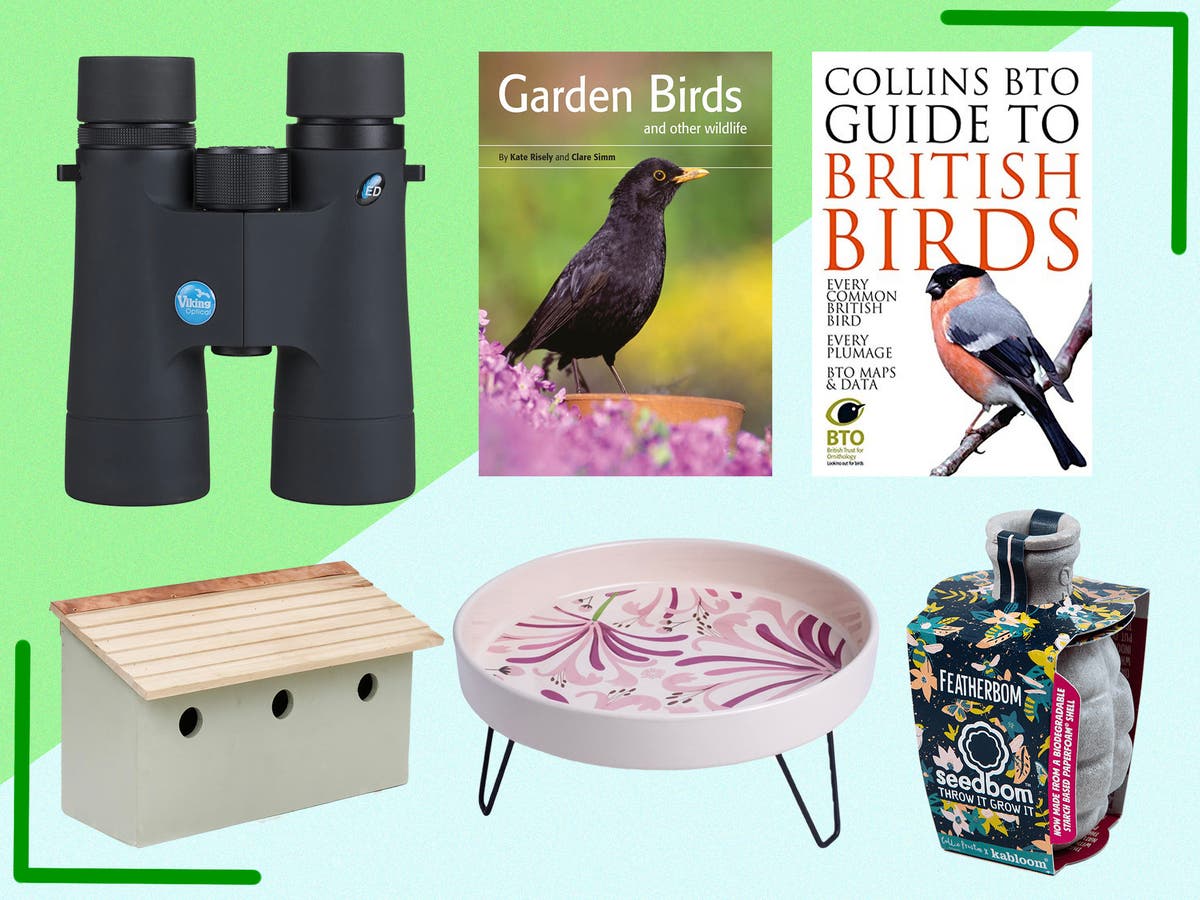 The Big Garden Birdwatch: The essentials you need to take part