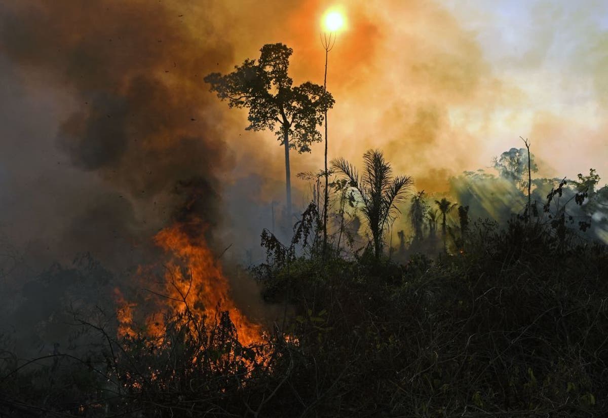 Brazil’s Amazon has ‘flipped’ and now emits more carbon pollution than it sinks 1 Brazil’s Amazon has ‘flipped’ and now emits more carbon pollution than it sinks