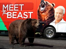 Animal rights groups hit out at Republican campaigning with bear: ‘It’s unfortunate and shameful’