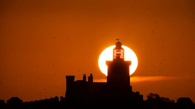Le soleil se lève sur Coquet Island, au large d'Amble sur la côte du Northumberland, où autant que 35000 les oiseaux de mer s'entassent sur cette petite île pour se reproduire