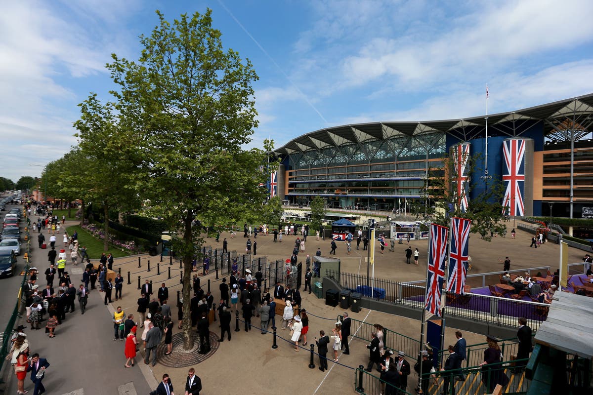 Royal Ascot to welcome back daily crowd of 12,000