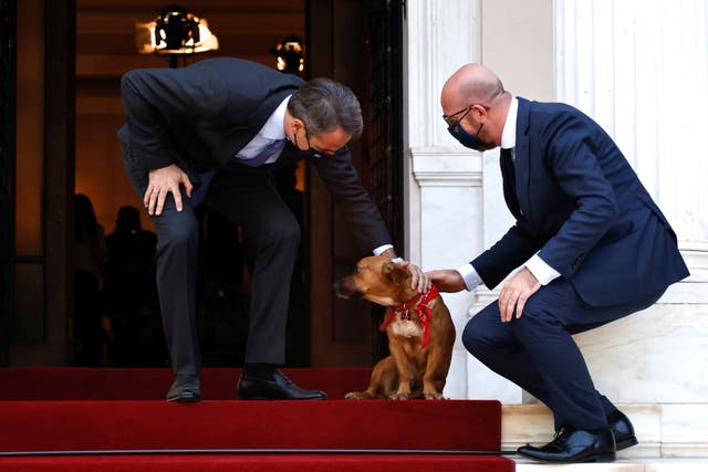 Greek Prime Minister Kyriakos Mitsotakis accompanied by his dog Peanut welcomes European Council President Charles Michel at the Maximos Mansion in Athens, Greece