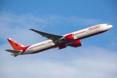 Air India flight returns to Delhi after bat discovered in business class