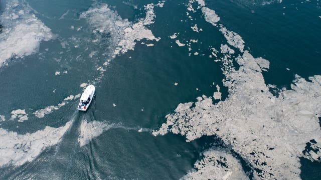 A fishing boat sails in the sea-snot covered Marmara sea near Istanbul, Turkey