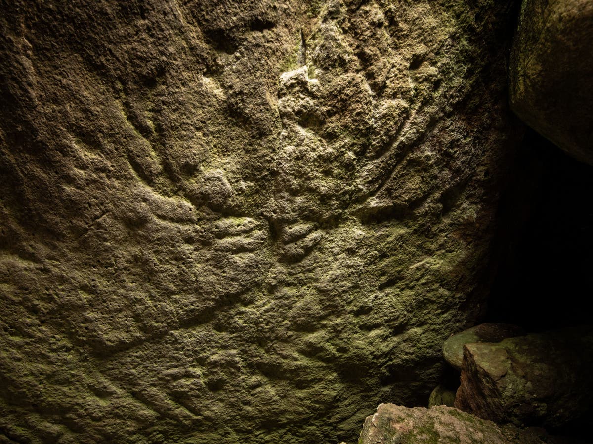 Prehistoric deer carvings found by chance in Scottish tomb