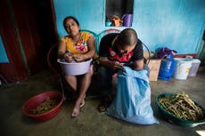 Guatemalan lives upturned by failed immigration bids