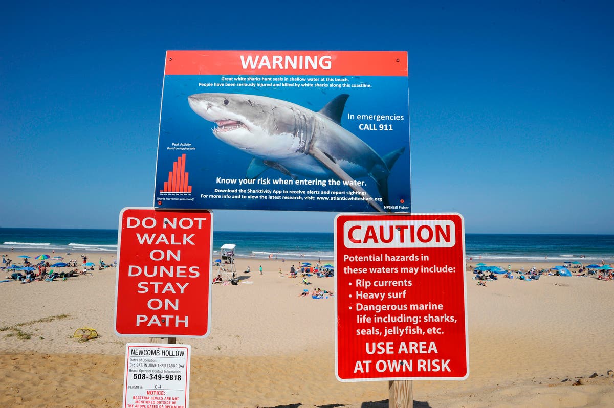 Police say swimmer may have suffered shark bite off Long Island beach