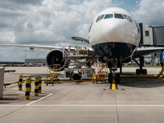 Airline bosses demand reopening of transatlantic travel