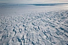 Antarctica hits record-high 18.3C temperature, UN confirms