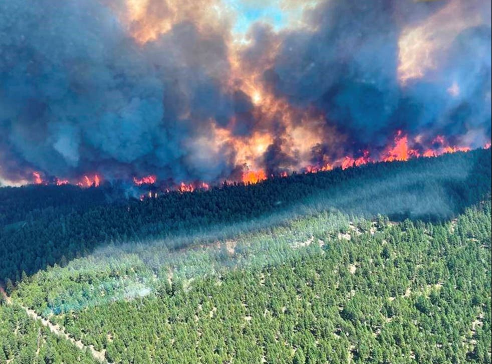 <p>トンプソンニコラ地域地区でのスパークス湖山火事の際に煙と炎が見られる, ブリティッシュコpンビア州 29 六月</p>