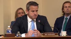 ‘You guys won, you guys held,’ Kinzinger tearfully tells Capitol police in riot committee hearing