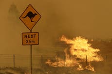 Australia wildfires had greater climate impact than worldwide Covid lockdowns, study finds