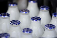 UK faces ‘summer of disruption’ to milk supplies amid lorry driver shortages