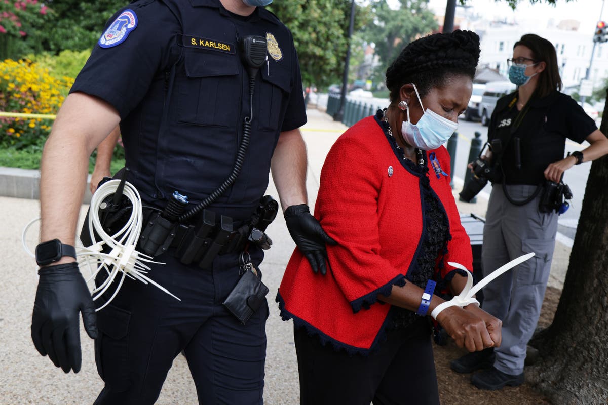 Sheila Jackson-Lee arrested at voting rights protests on Capitol Hill