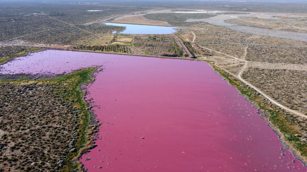 Pink lagoon has Argentine environmentalists seeing red