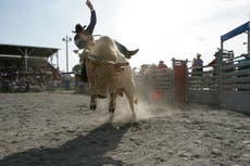 Video shows moment bull charges into audience at rodeo in Idaho