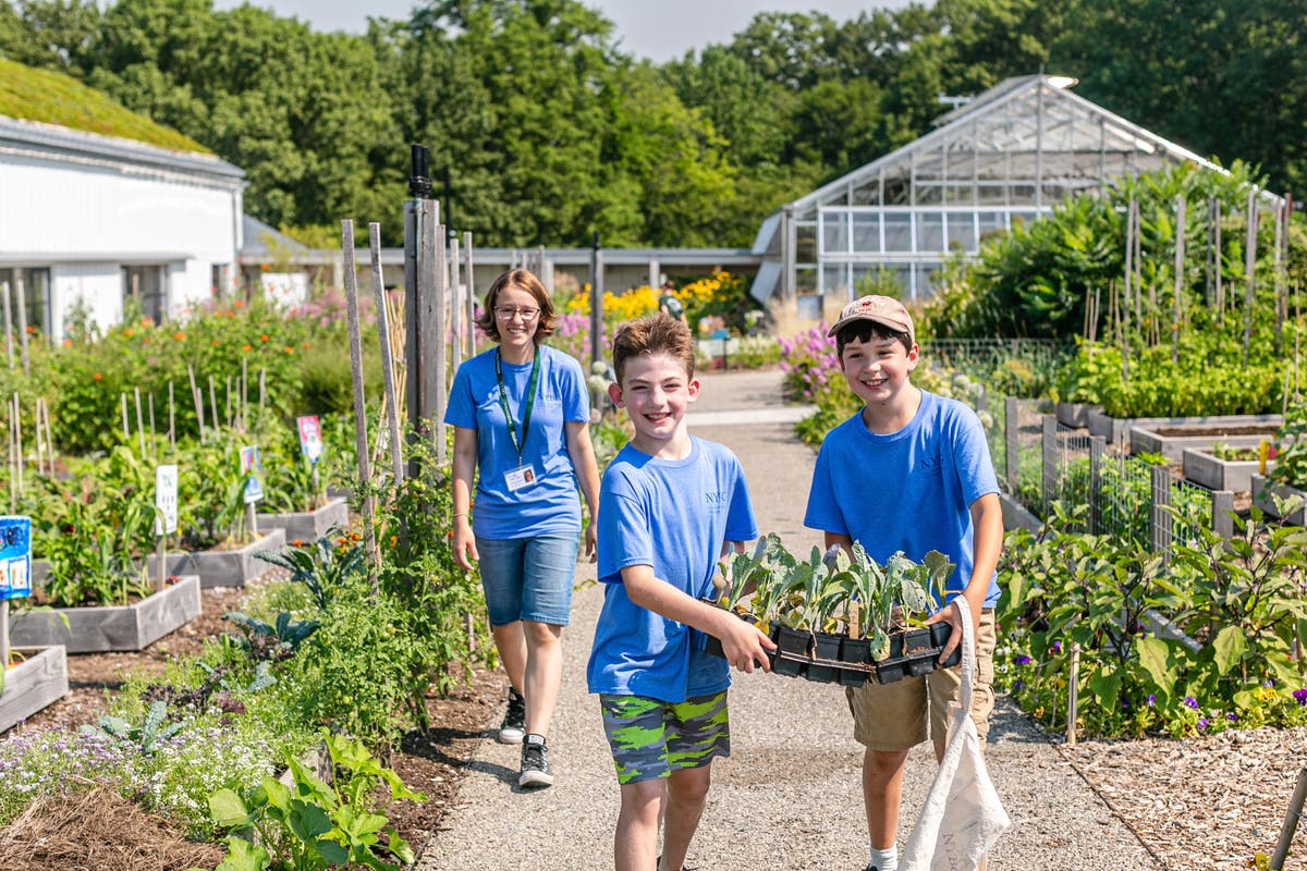 Schools find ways to keep gardening lessons blooming