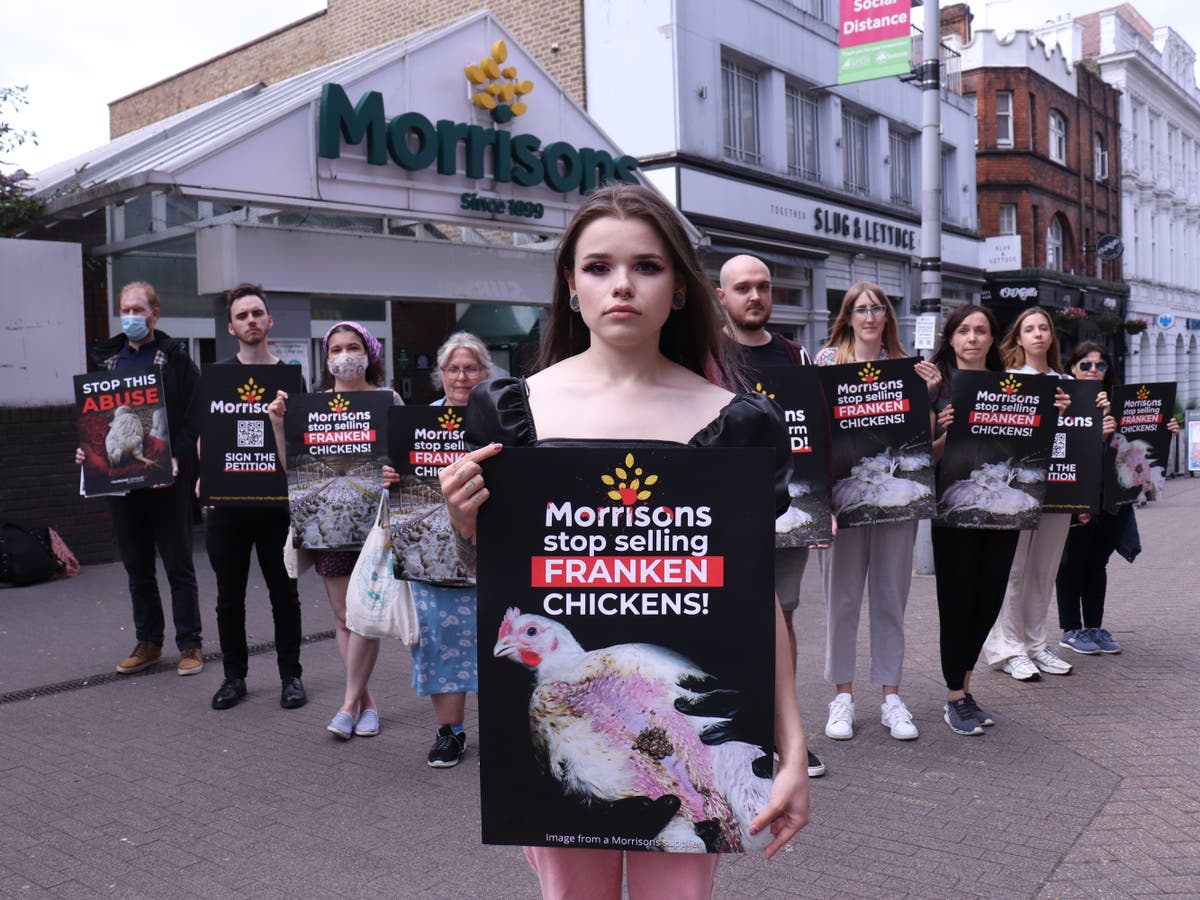 Funcionário de Morrisons lidera protestos em todo o país sobre ‘Frankenchickens’