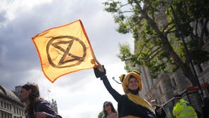 A demonstrator dressed as bee during a protest by members of Extinction Rebellion on Whitehall, in central London