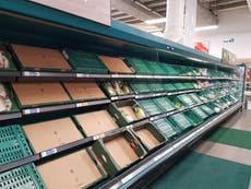 Supermarket food shortages will be over by Christmas, Downing Street says