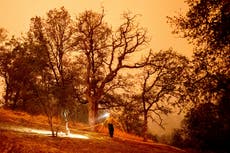 Sequoia National Park's giant trees at risk as fires grow