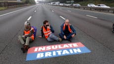 Dozens of climate activists arrested in new M25 protest