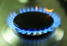 Which energy companies have gone bust during gas crisis?