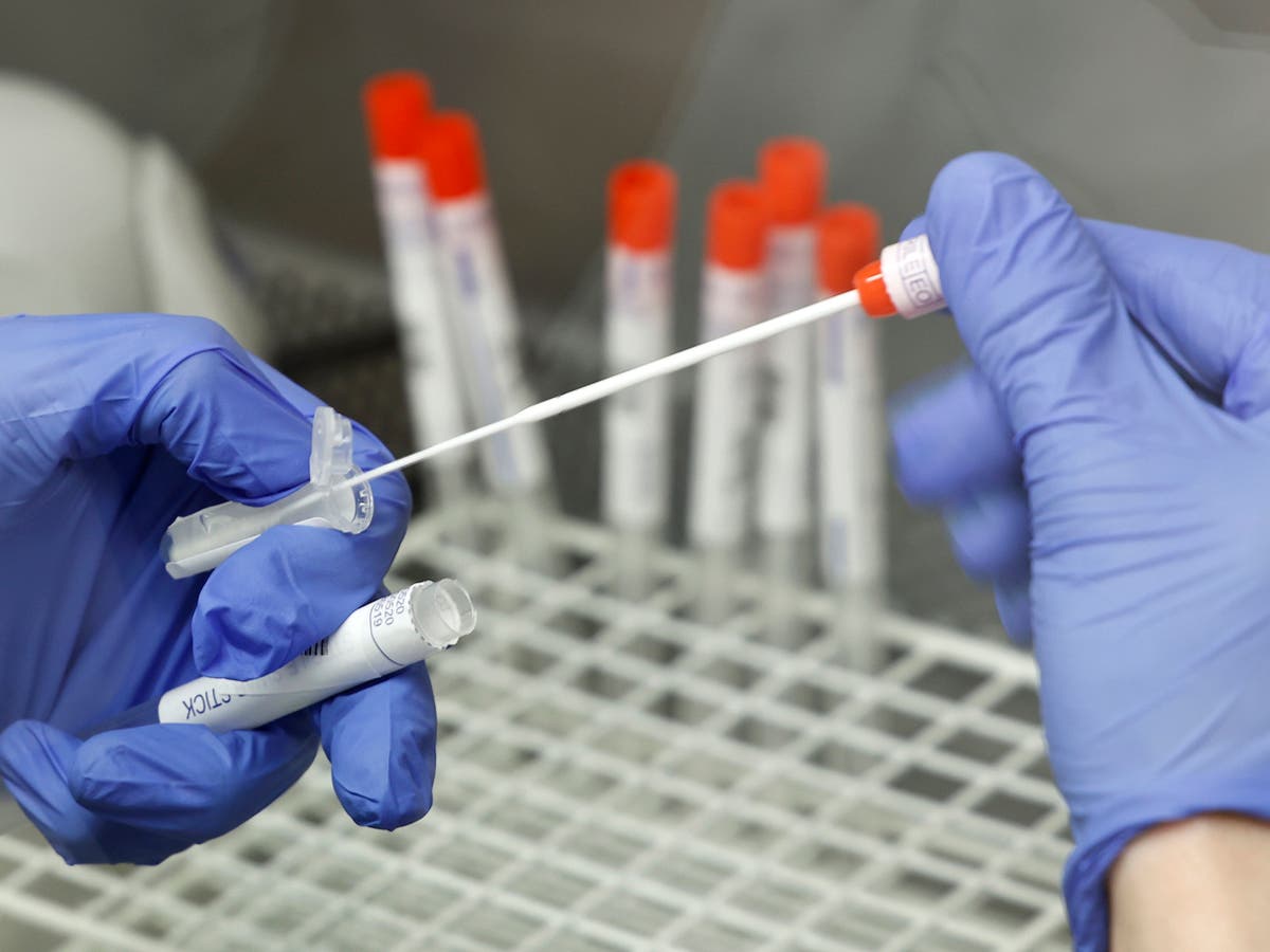 PCR vs rapid antigen tests: When to use each test and why
