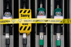 Stop panic-buying petrol and only fill up ‘when you really need it’, Johnson says