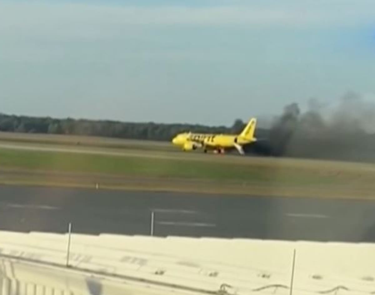 Spirit Airlines plane catches fire after bird flies into one of its engines