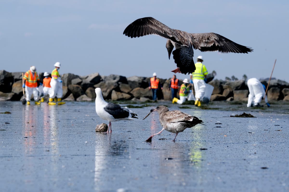 FORKLARER: What's happening with the California oil spill?