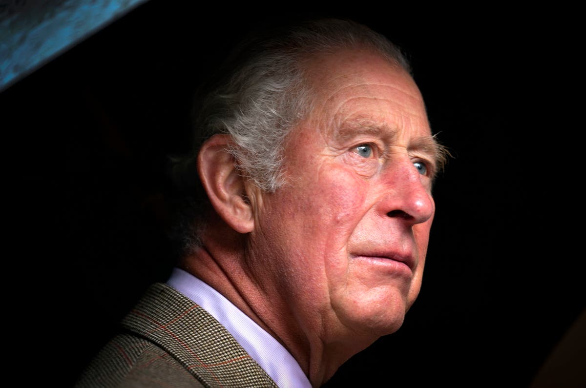Prince Charles  says he ‘totally understands’ climate protesters’ anger