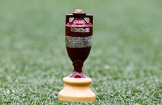 Ashes preparations proceeding ‘full steam ahead’, Cricket Australia chief claims
