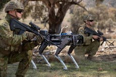 Chiens robots militaires vus avec des fusils d'assaut attachés à leur dos