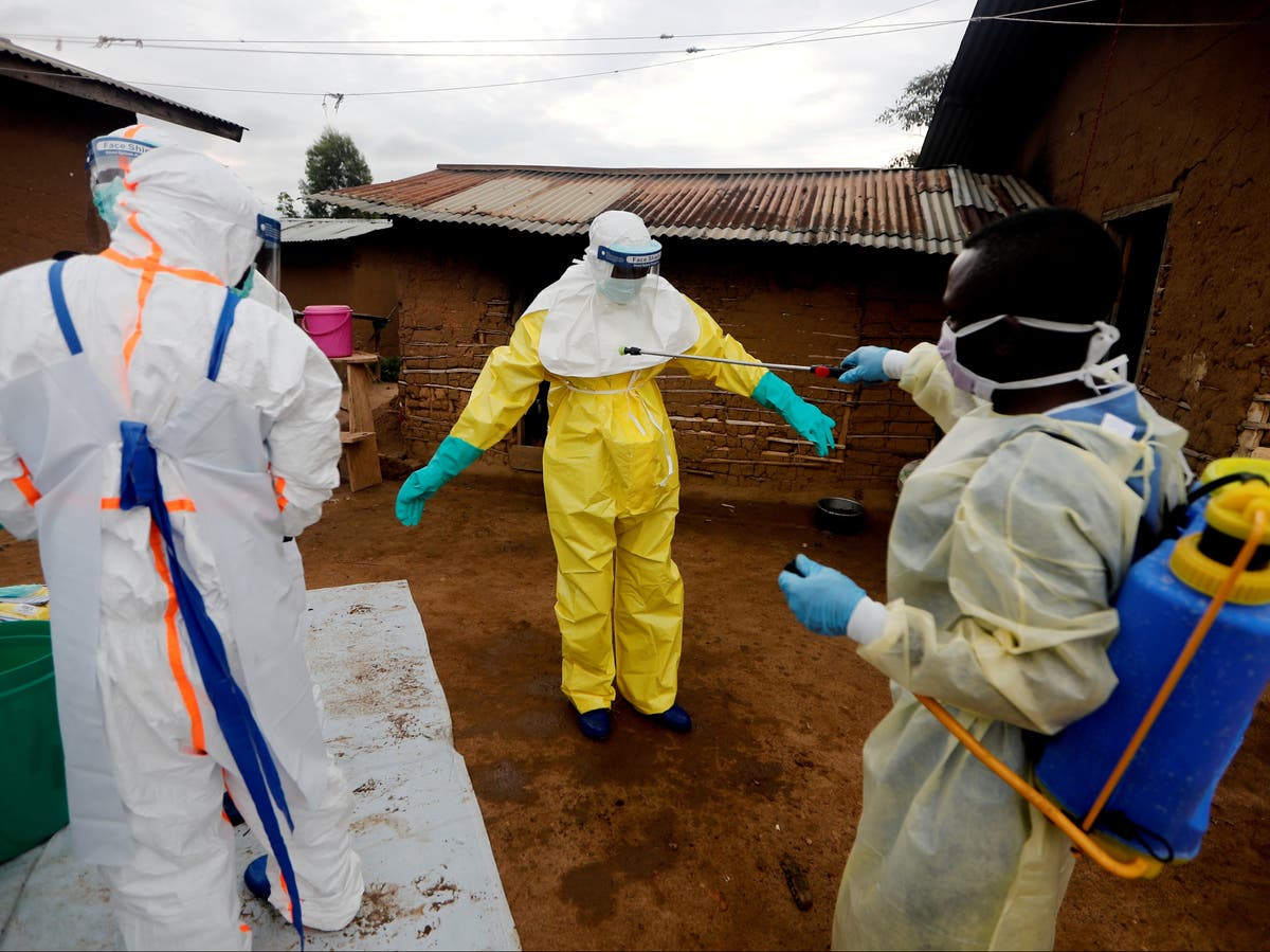 Three new Ebola cases discovered in DRC