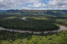 Colombia’s Amazon rainforest ‘has lost area size of Wales’ despite £250m UK fund