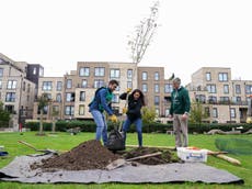 Tower Hamlets green space transformed with trees ahead of Queen’s Platinum Jubilee