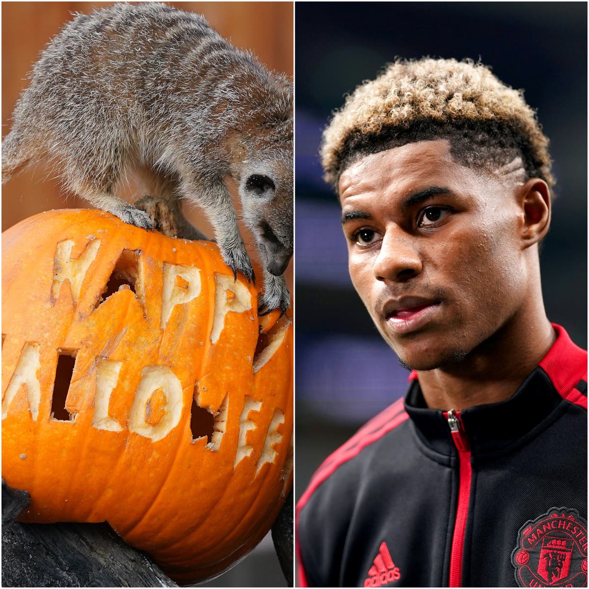 Happy Halloween and Marcus Rashford’s birthday – Sunday’s sporting social