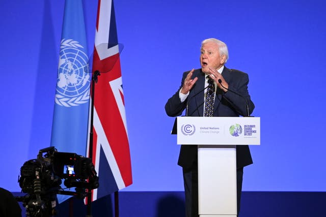 Sir David Attenborough delivers a speech during Cop26 in Glasgow