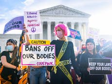 ‘It is a terrifying time’: Legal right to abortion in US faces direct challenge at Supreme Court