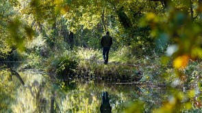 A person walks along the Basingstoke canal near to Dogmersfield in Hampshire