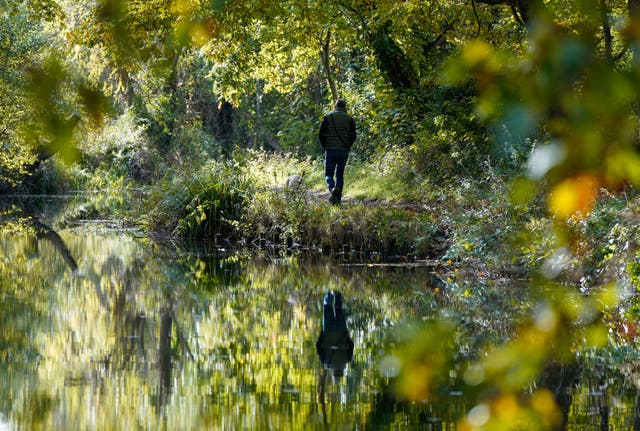 Uma pessoa caminha ao longo do canal Basingstoke perto de Dogmersfield em Hampshire