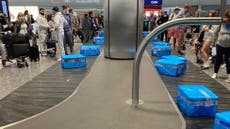 BA passengers get frozen fish instead of luggage at Heathrow baggage claim