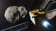 Nasa prepares to deflect asteroid in first ‘planetary defence’ test