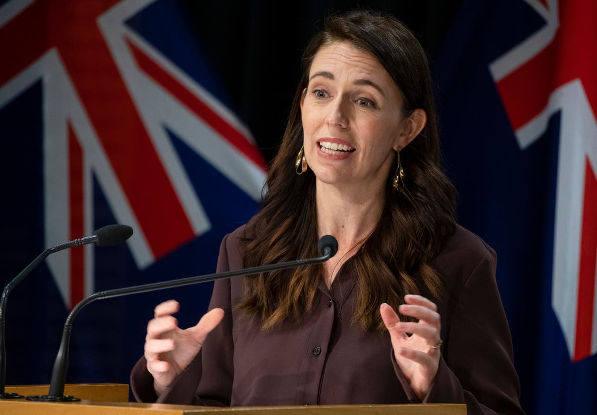 Major anti-vax protests don’t represent ‘vast bulk of New Zealanders’, says Ardern