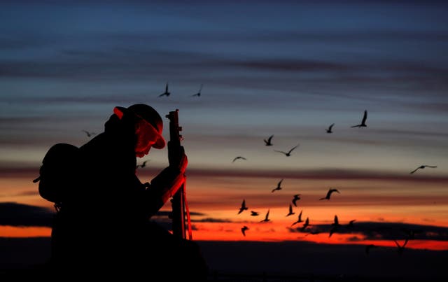 Seagulls fly around the statue entitled 'Tommy', a first World War soldier by artist Ray Lonsdale at dawn in Seaham, 英国