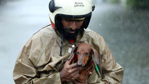 チェンナイで大雨が降ったときに水浸しの道路を歩いている男性が犬を覆っている, インド