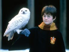 ‘If you recast me, I’ll f***ing kill you’: An oral history of Harry Potter at 20